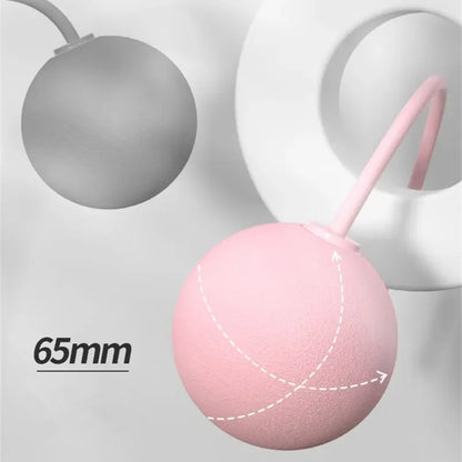 CoreFlex Pro™ Automatic Rebound Fitness Board